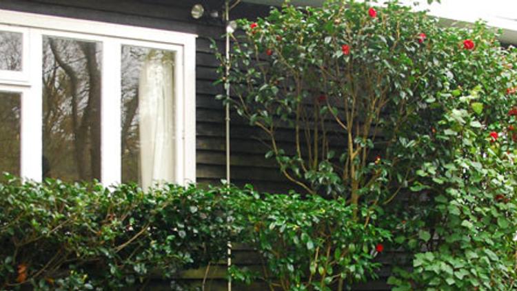 Photo of the side of Lilburn House which is painted black with white windows, the house is framed by a hedge. 