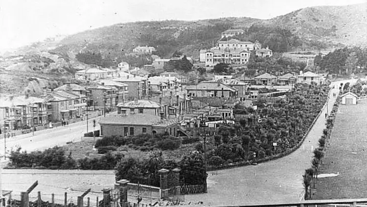 A historic black and white photo of Roy Street, Newtown , 10 March 1918, Newtown Park on the right. 