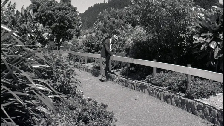 Black and white photograph of a walkway surrounded by harakeke flax, a man in a hat standing in the centre