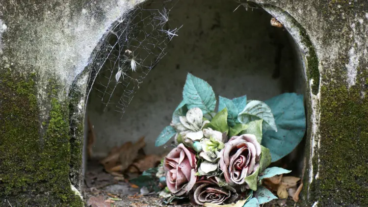 Two pink roses lying in a concrete hollow with moss growing 