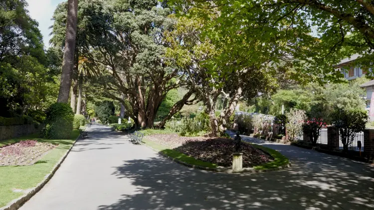 Photograph of a path with green trees