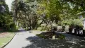 Photograph of a path with green trees