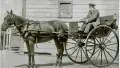 Sepia photograph of a man in a horse drawn cart