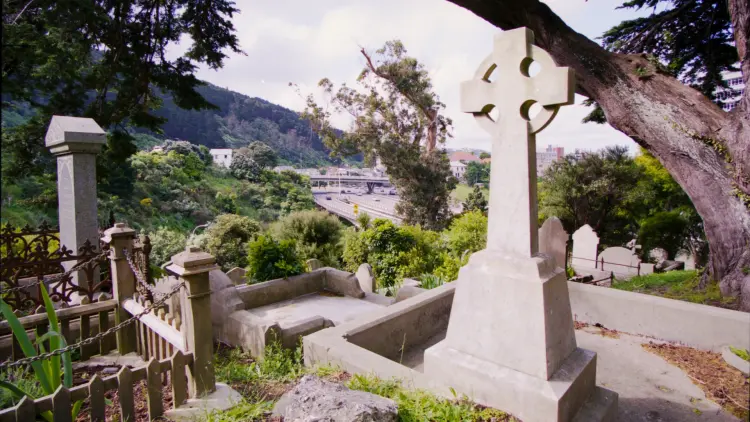 Colour photograph of a graveyard with tombstones