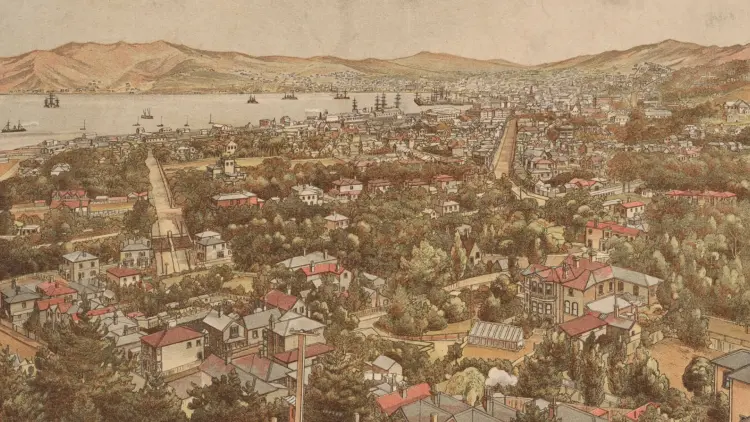 Illustration looking down at Thorndon area in 1894, many cream coloured red-roofed houses with Wellington harbour and hills in the distance
