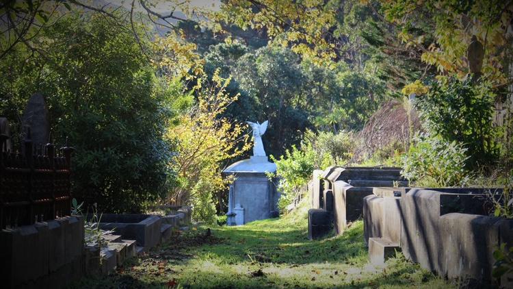 Tombstones surrounded by green trees