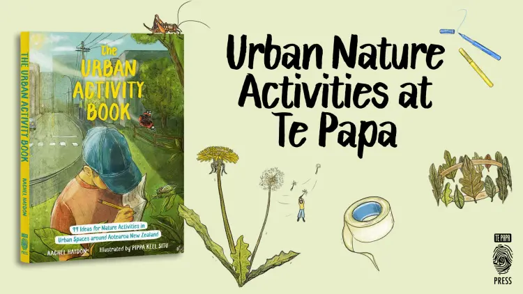 Banner with an image of the Urban Activity Book with text reading "Urban Nature Activities at Te Papa"