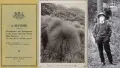 Two black and white photos of a suited man standing in the bush, and a 1932 printed flyer for the development of Otari Native Plant Museum