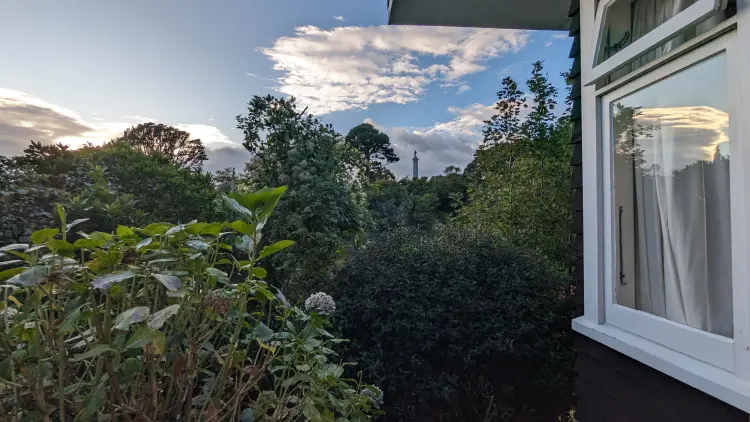 Green foliage, blue sky and a white dramed window on the right of the image