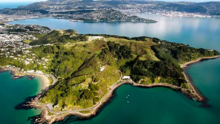Green land surrounded by ocean