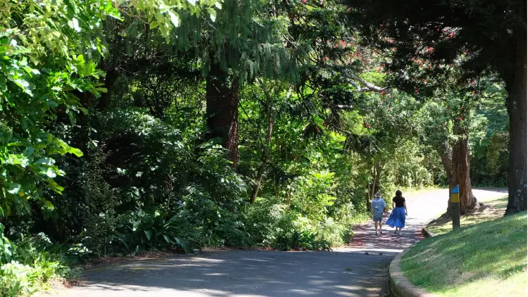 People walking along a tree surrounded path.