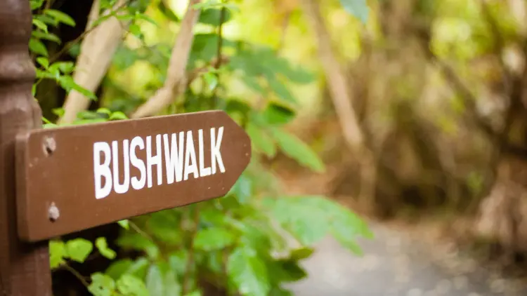 A photo of a small wooden sign labeled 'Bushwalk' pointing down a forested pathway.
