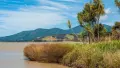 Outdoor photo of a wetland with a mountain in the distance