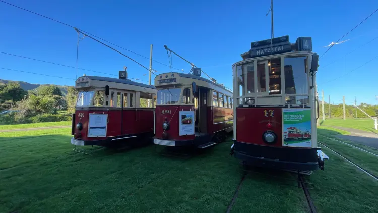 Three white and red trams on a green lawn