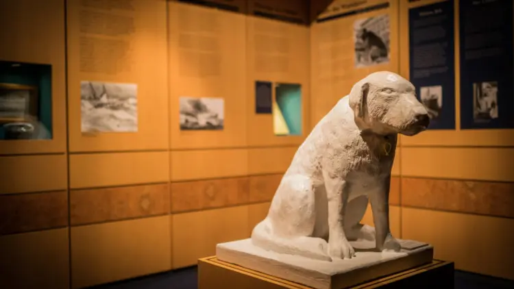 Stone dog statue in a museum exhibition room