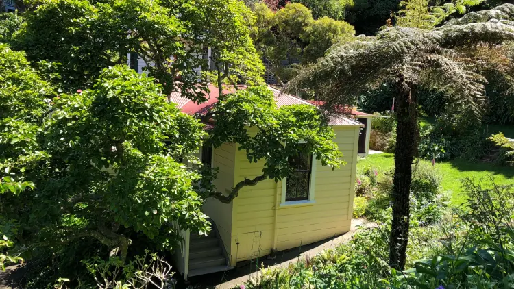 house admist green foliage