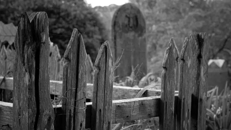 Headstones in a graveyard