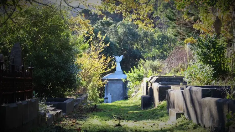 Colour photograph of a graveyard with green foliage and a statue of an angel