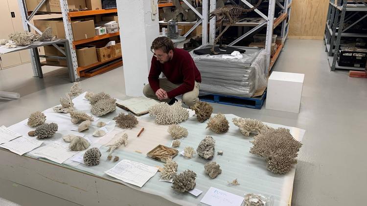 Festival Coordinator Henry Buckenham crouches in an archive room next to samples of coral