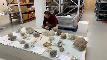 Festival Coordinator Henry Buckenham crouches in an archive room next to samples of coral
