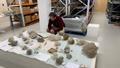 Festival Coordinator Henry Buckenham crouches in an archive room next to samples of coral
