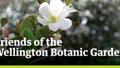 Friends of the Wellington Botanic Garden logo