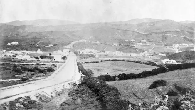 A historic black and white photo of Newtown, c.1880, viewed from the top of Constable Street. 
