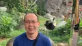 Man in blue shirt standing in front of giant panda enclosure