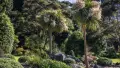 Green trees