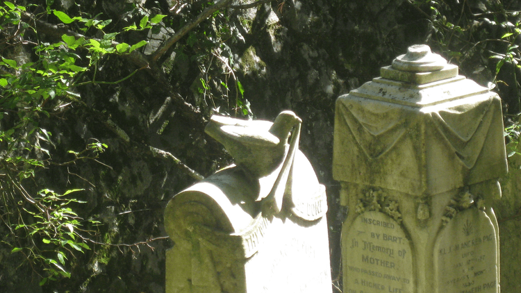 Photo of two tombstones in front of a backdrop of bush. 