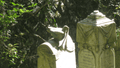 Photo of two tombstones in front of a backdrop of bush. 