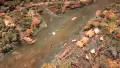 Close up shot of a diorama showing a Māori pā site along a river.