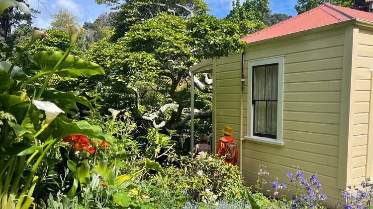 Exterior image with Rita Angus Cottage on the right and greenery in the foreground.