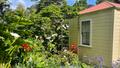 Exterior image with Rita Angus Cottage on the right and greenery in the foreground.