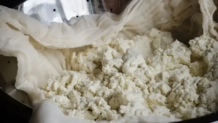Image of cheese in a bowl
