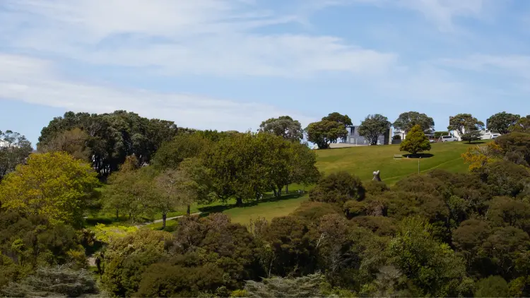 Photograph of a hill with green trees against a blue sky
