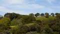 Photograph of a hill with green trees against a blue sky