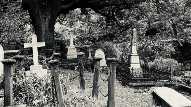 Black and white photograph of a graveyard with tombstones and trees