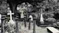 Black and white photograph of a graveyard with tombstones and trees