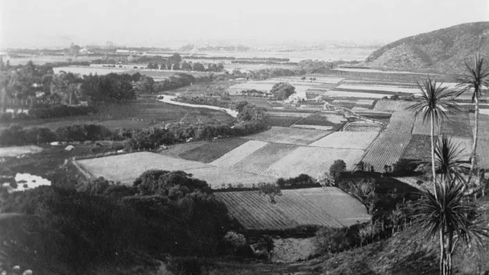 Black and white photograph of gardens