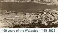 Sepia photograph of wellington harbour