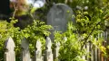 Photograph of a wicket fence with green bushes surrounding it and a tombstone in the background