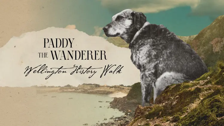 A dog sitting on a bank